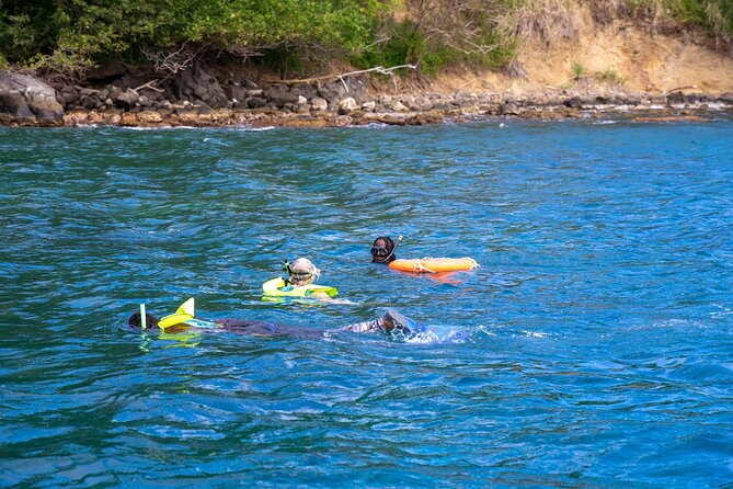 Snorkeling at Pigeon Island - Who will enjoy this Pigeon Island experience