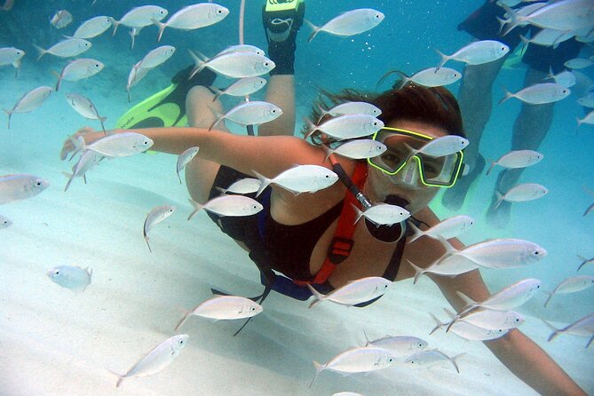SNUBA Saint Lucia - Key points to know before booking
