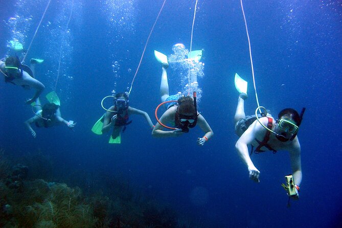 SNUBA Saint Lucia - At 20 feet: what you may see
