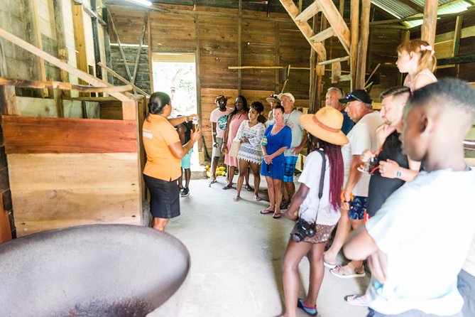 Soufriere Excursion with Rum & Chocolate Tasting - Morne Coubaril: rum, chocolate, and lunch