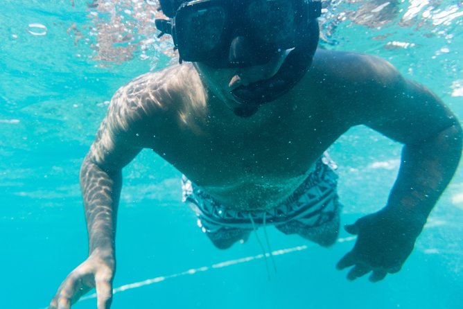 Soufriere Excursion with Rum & Chocolate Tasting - A 40-minute swim and snorkel stop