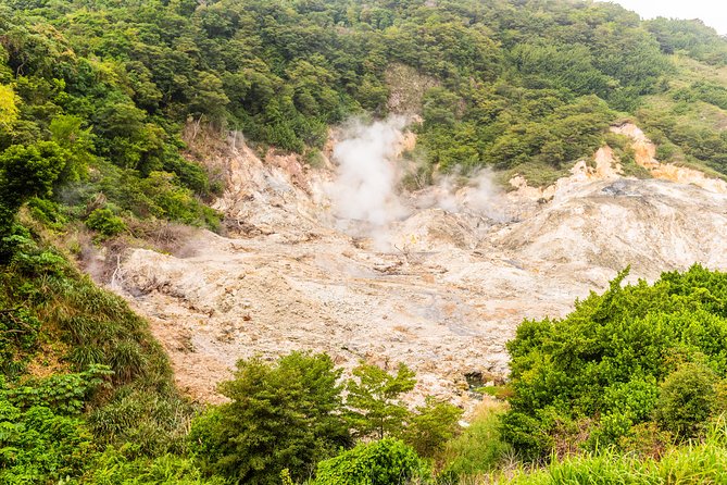 Soufriere Island Delight - Anse-La-Raye and Canaries: St. Lucia away from the resort strip