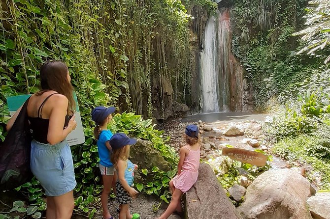Soufriere Special Day Tour - La Soufriere drive-in volcano and the mud bath