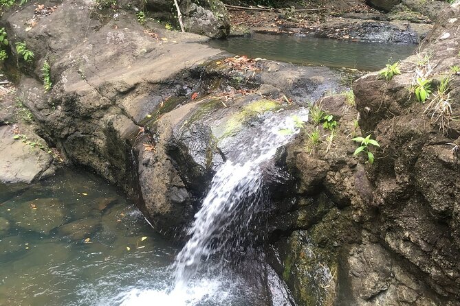 Soufriere Volcano Experience - Starting in Gros Islet and heading south