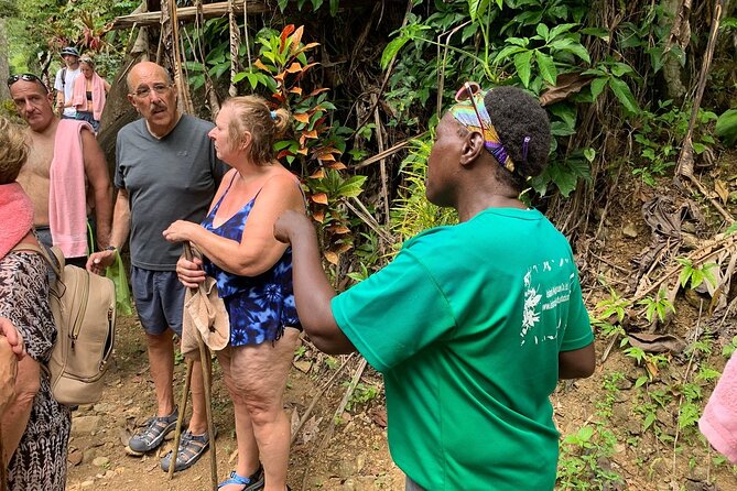 Soufriere Volcano Experience - A 15-minute walk to River Pool Waterfall