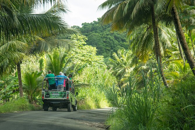 Soufriere Volcano Experience - Is $135 a fair price?