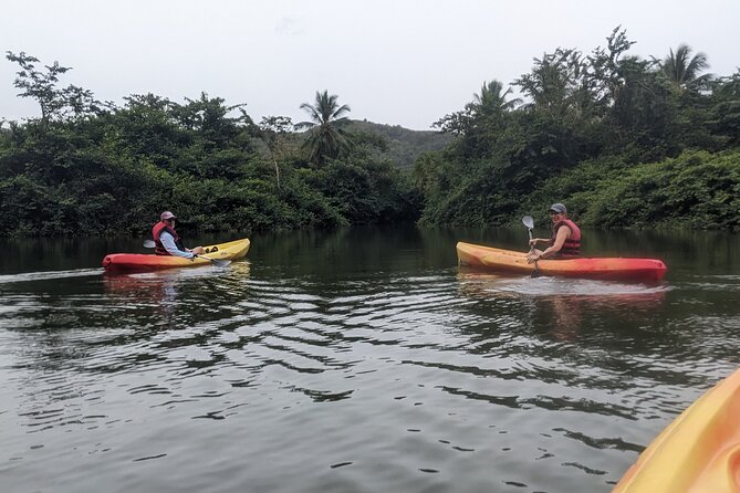Splash Adventure Jeep and Kayak Safari - Beneath the Mangrove Canopy