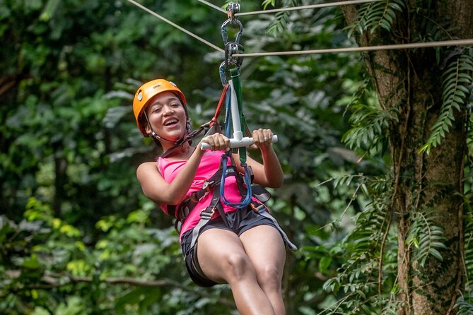 St. Lucia 3 in 1 Combo: Aerial Tram, Rainforest Trail & Zipline - Three ways to see St. Lucia’s rainforest