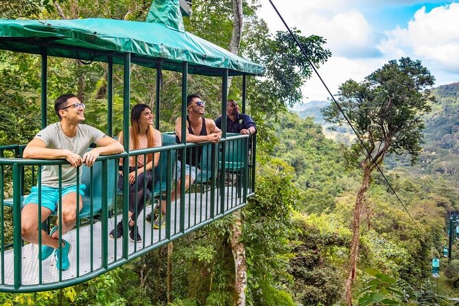 St. Lucia 3 in 1 Combo: Aerial Tram, Rainforest Trail & Zipline - The trail connects the trees to the living forest