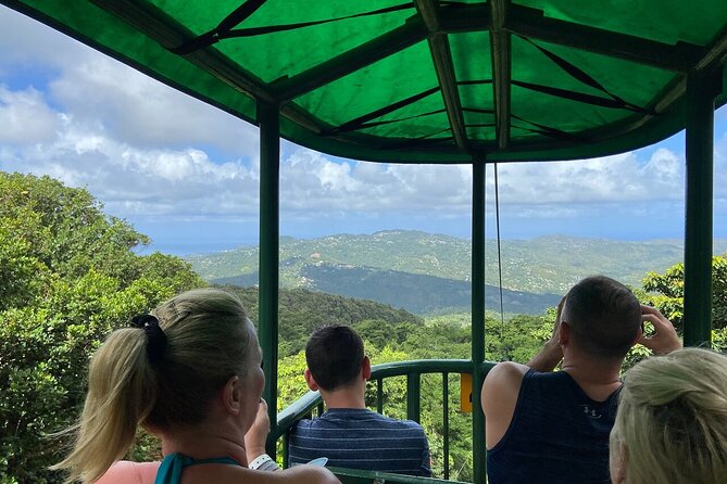 St. Lucia 3 in 1 Combo: Aerial Tram, Rainforest Trail & Zipline - Who will enjoy this combo most
