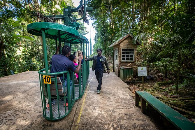 St. Lucia Aerial Tram Tour at Rainforest Adventures - Floating through St. Lucia’s rainforest canopy