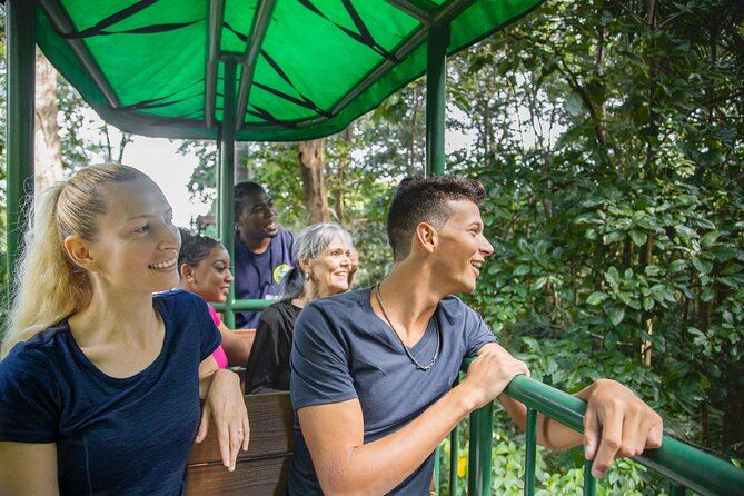 St. Lucia Aerial Tram Tour at Rainforest Adventures - What your naturalist guide adds