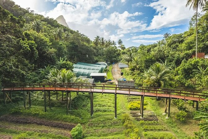 St Lucia Airport Transfer to Hotel Chocolat - A private ride to Rabot Hotel in about 50 minutes