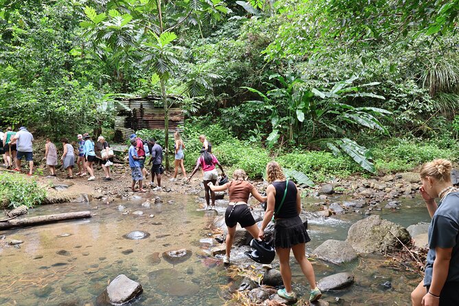 St Lucia ATV Tour : Waterfall, Plantation, Beach and Distillery - Riding through villages and rainforest trails