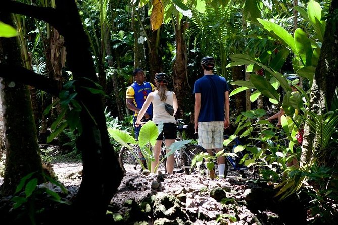 St Lucia Bike and Hike - Fruit, drinks, and a taste of the island