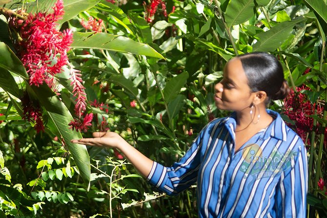 St. Lucia Botanical Gardens and Waterfall Tour Groups only - The guides can shape the whole day