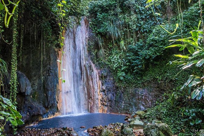 St. Lucia Botanical Gardens and Waterfall Tour Groups only - Diamond Botanical Gardens and Diamond Falls