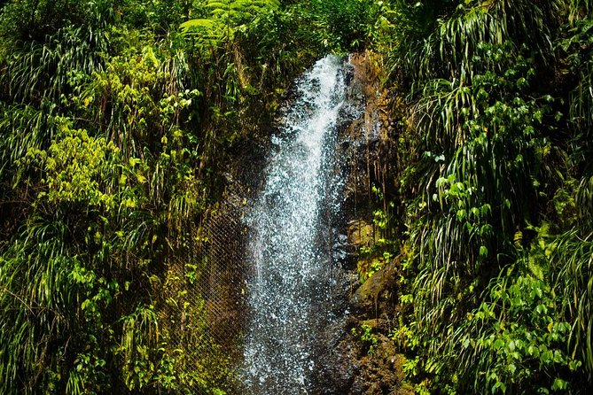 St Lucia Cruise Ship Excursion - Soufriere is the gateway to the big sights