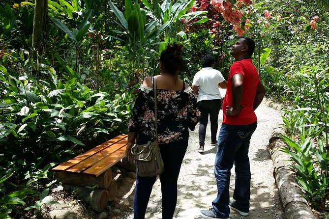 St Lucia Diamond Mineral and Mud Baths Plus Waterfall Adventure - A Creole lunch adds practical value