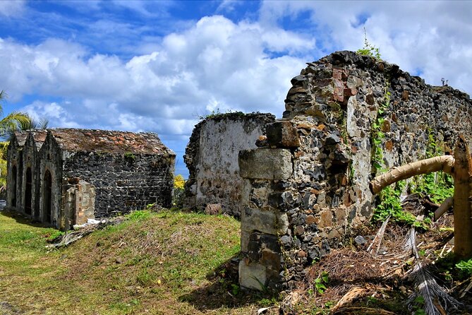 St. Lucia Island Short Tour - What the guides add to the experience