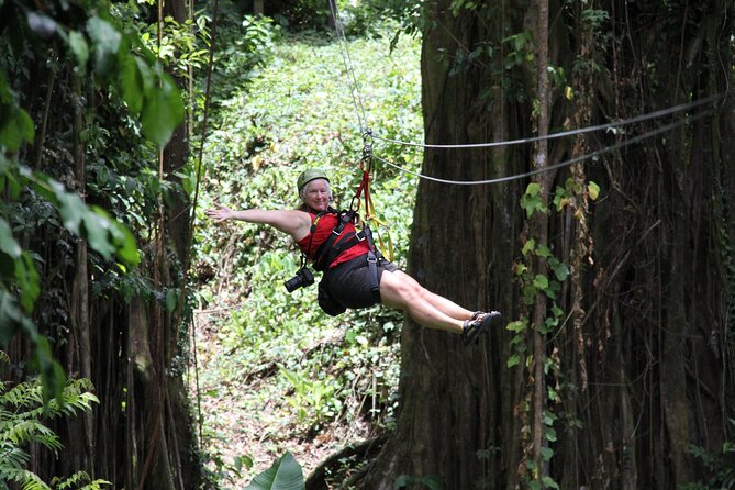 St. Lucia Morne Coubaril Estate Zipline Experience - The bamboo-shadowed gorge adds variety