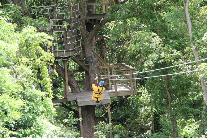 St. Lucia Morne Coubaril Estate Zipline Experience - Price, timing, and what you actually get