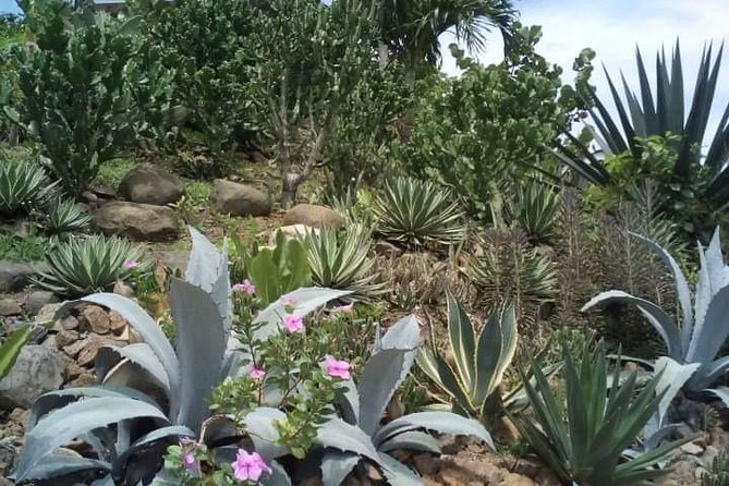 St Lucia Northern Island Tour - The guides and the feel of the day