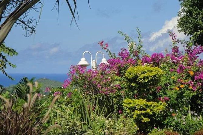 St Lucia Northern Island Tour - Gardens and a small forest area