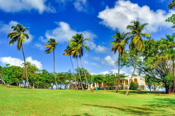St Lucia Pigeon Island Ultimate Relax-Experience (Inc-Lunch) - Beach time and the Caribbean water
