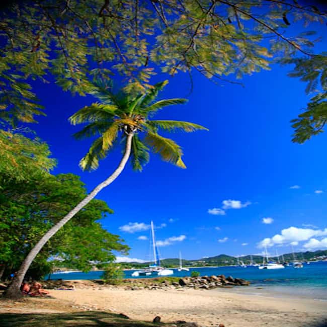 St Lucia Pigeon Island Ultimate Relaxer Experience - The Fort Rodney climb and Rodney Bay views