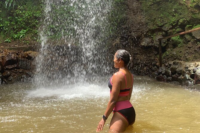 St Lucia Pitons Waterfalls and Mud Bath Experience. - Who will enjoy this outing most?