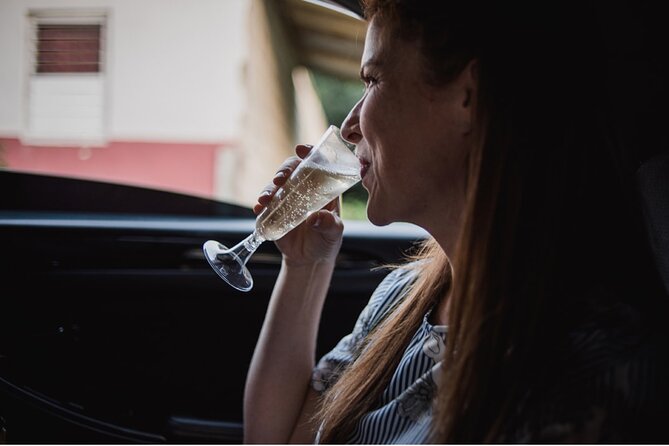 St Lucia Private Airport Transfer - Vacation Mode Activated! - Two optional photo stops, not a forced sightseeing tour
