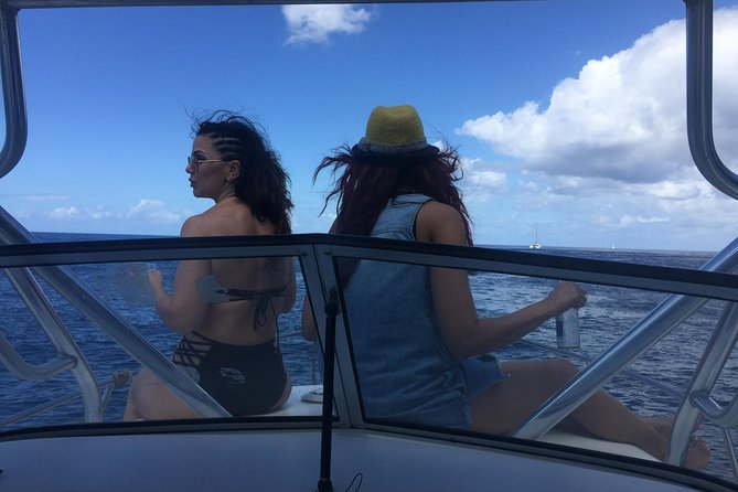 St. Lucia Private Boat Tour, Mud Bath, Waterfall & Beach Time - Who should book this private St. Lucia outing