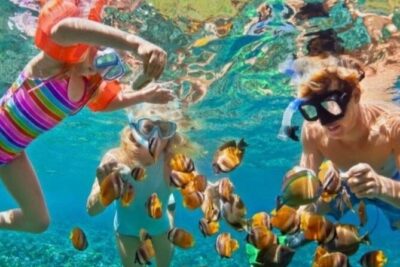 St Lucia Private Boat Tour/Sightseeing/Snorkeling