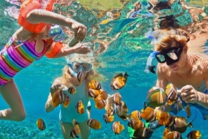 St Lucia Private Boat Tour/Sightseeing/Snorkeling - Marigot Bay, the cinematic first stop