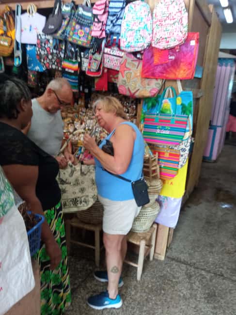 St. Lucia: Private Island Tour with Drinks & Transfers - Who will enjoy this tour most
