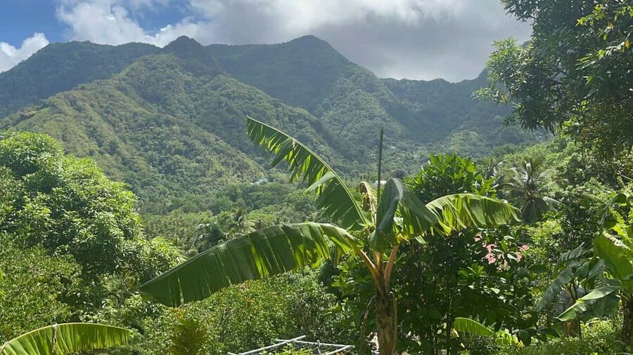 St. Lucia: Safi Estate, Volcano Waterfalls Experience - A short walk with more character than a standard waterfall stop
