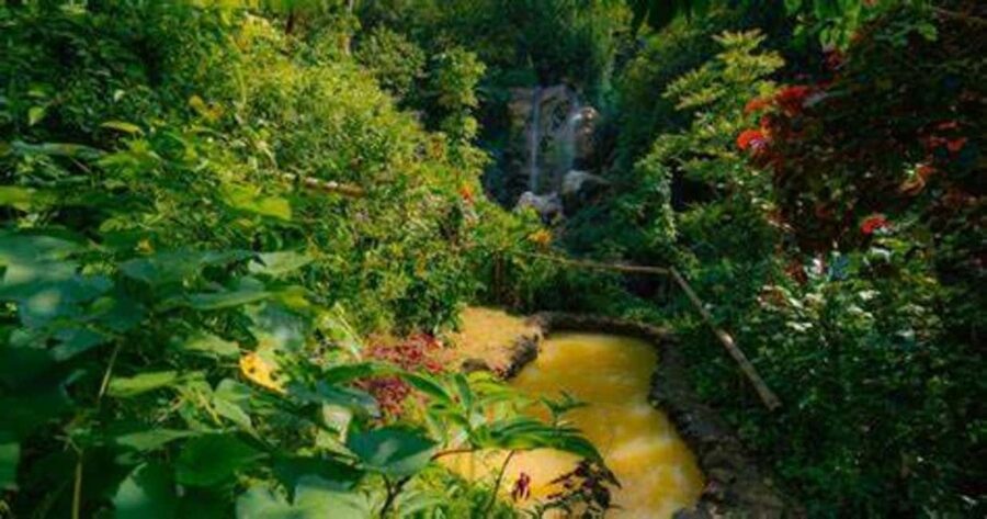 St. Lucia: Safi Estate, Volcano Waterfalls Experience - Watching for the Amazona versicolor parrot