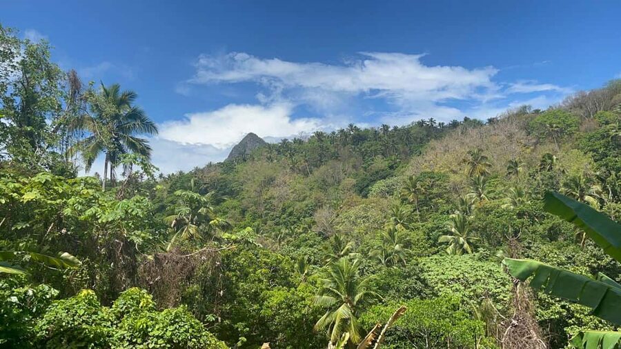 St. Lucia: Safi Estate, Volcano Waterfalls Experience - Entering the estate: plants, fruit, and Saint Lucian stories