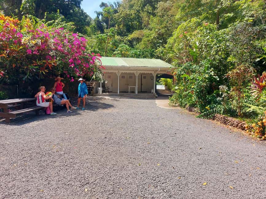 St. Lucia: Scenic Nature Hike & Botanical Garden Escape - Key points to know before booking