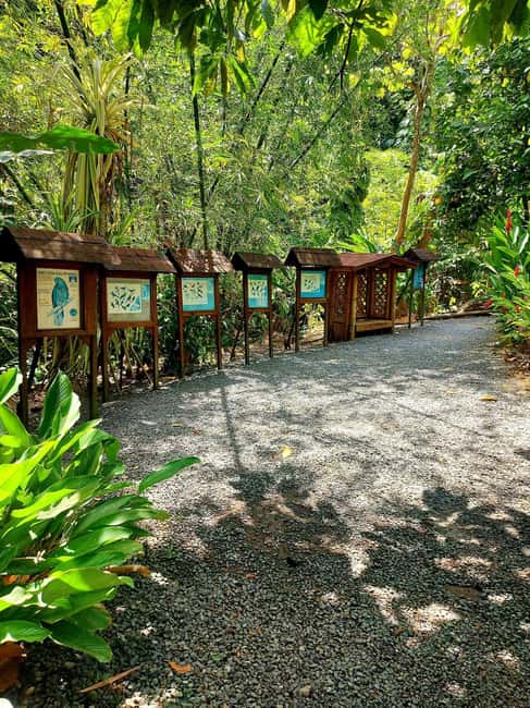 St. Lucia: Scenic Nature Hike & Botanical Garden Escape - Why this route makes sense for a six-hour day