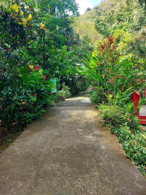 St. Lucia: Scenic Nature Hike & Botanical Garden Escape - Transport, timing, and the value of a private group