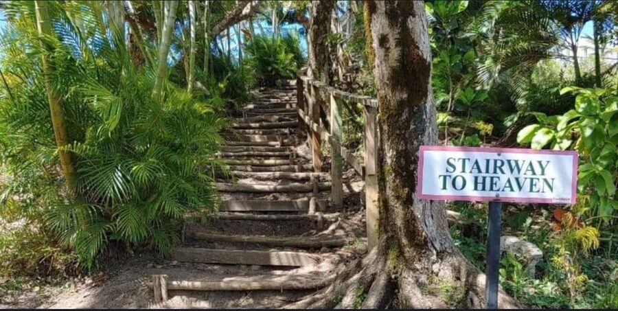 St. Lucia: Scenic Nature Hike & Botanical Garden Escape - Food, drinks, and the small local details