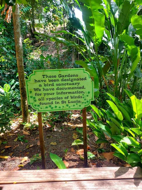 St. Lucia: Scenic Nature Hike & Botanical Garden Escape - Is the $121 price fair?