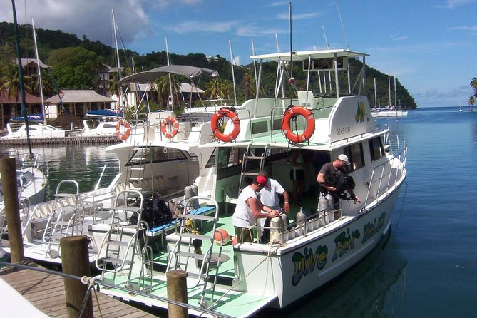 St Lucia Snorkeling Tour with Lunch - What the first reef stop offers