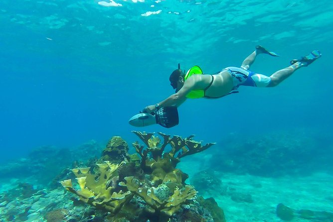 St. Lucia Speedboat and Power Snorkel From Castries - Quick points to know before booking
