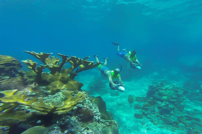 St. Lucia Speedboat and Power Snorkel From Castries - Returning through bays and Marigot Bay