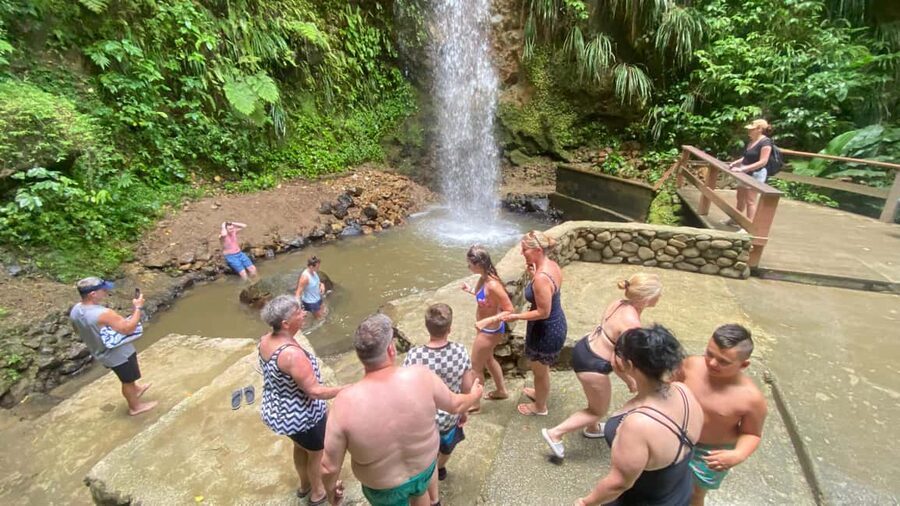 St Lucia Sulphur Springs Drive- in Volcano Tour & Waterfall - The Botanical Gardens option for plant lovers