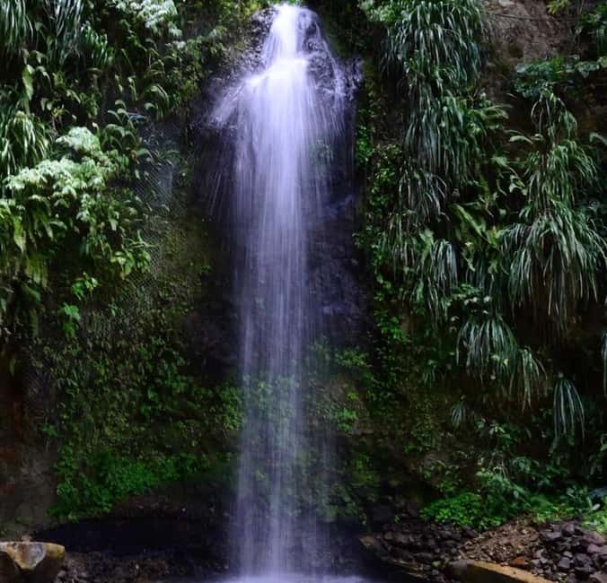 St. Lucia: Sulphur Springs Mud Bath and Toraille Waterfall - Price, timing, and overall value