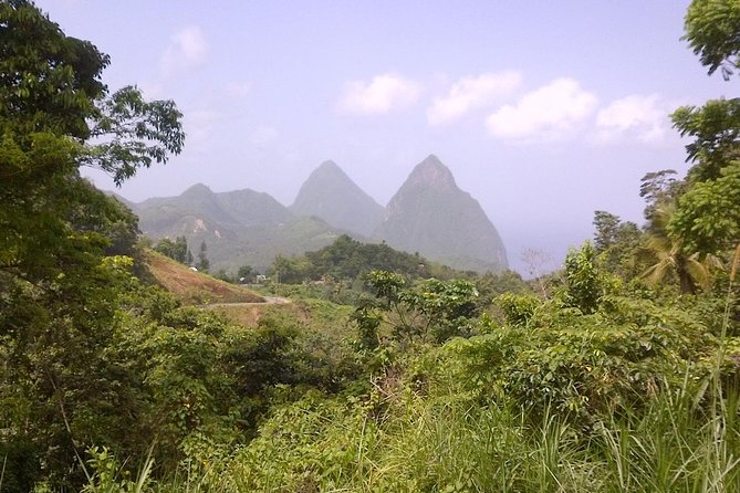 St. Lucia Tet Paul Nature Trail Tour - Key points to know before you book